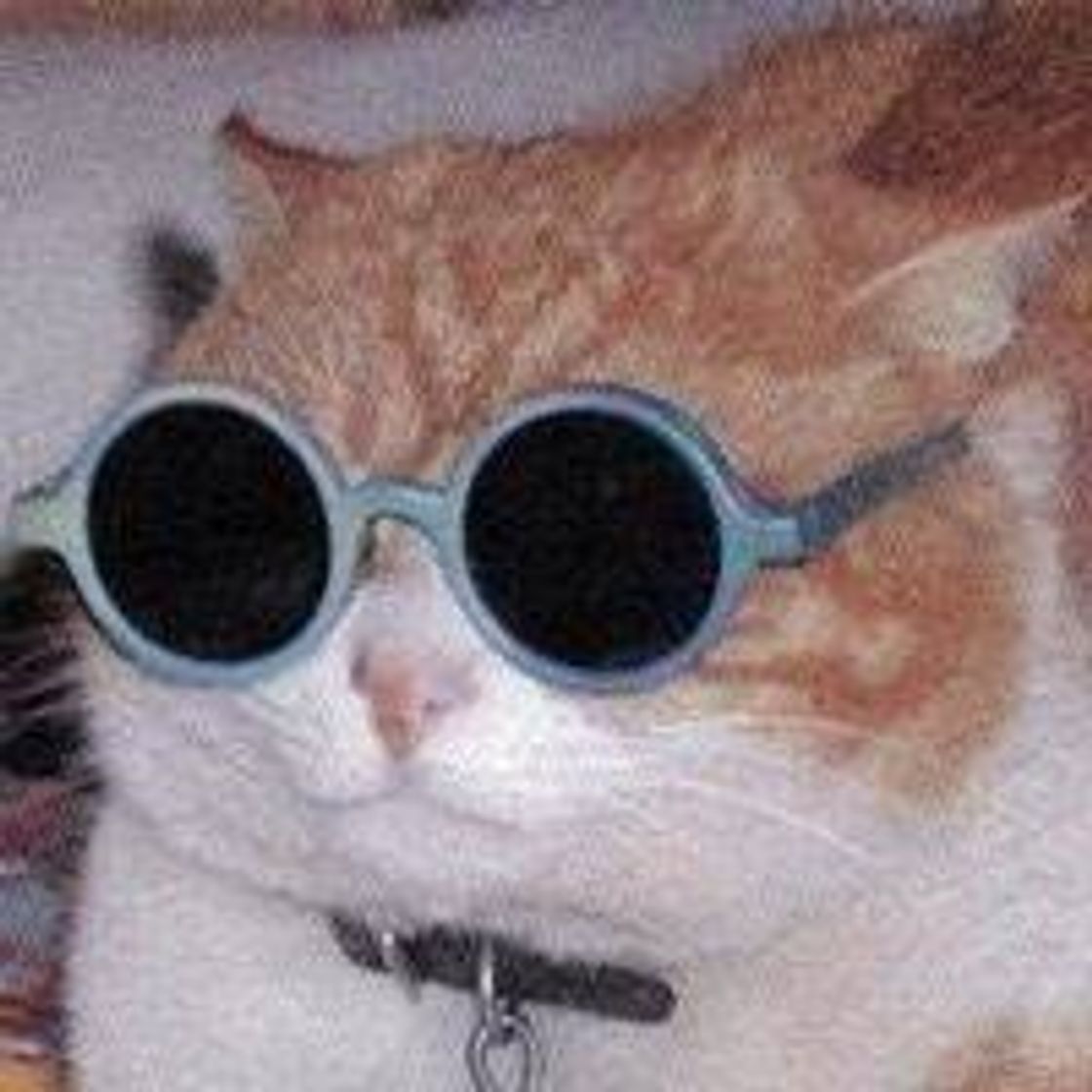 Social Fotos de perfil