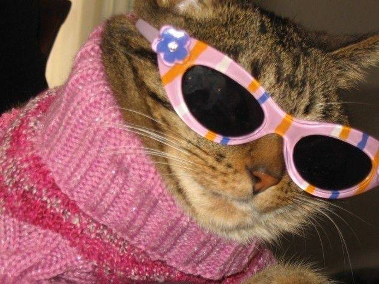 Social Fotos de perfil