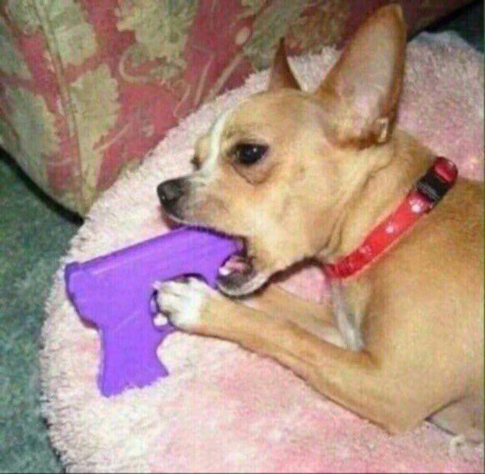 Social Fotos de perfil