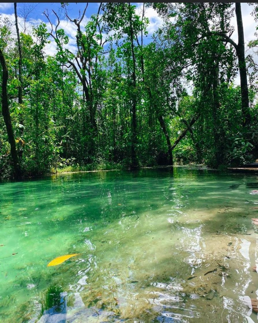 Lugar Areia Que Canta