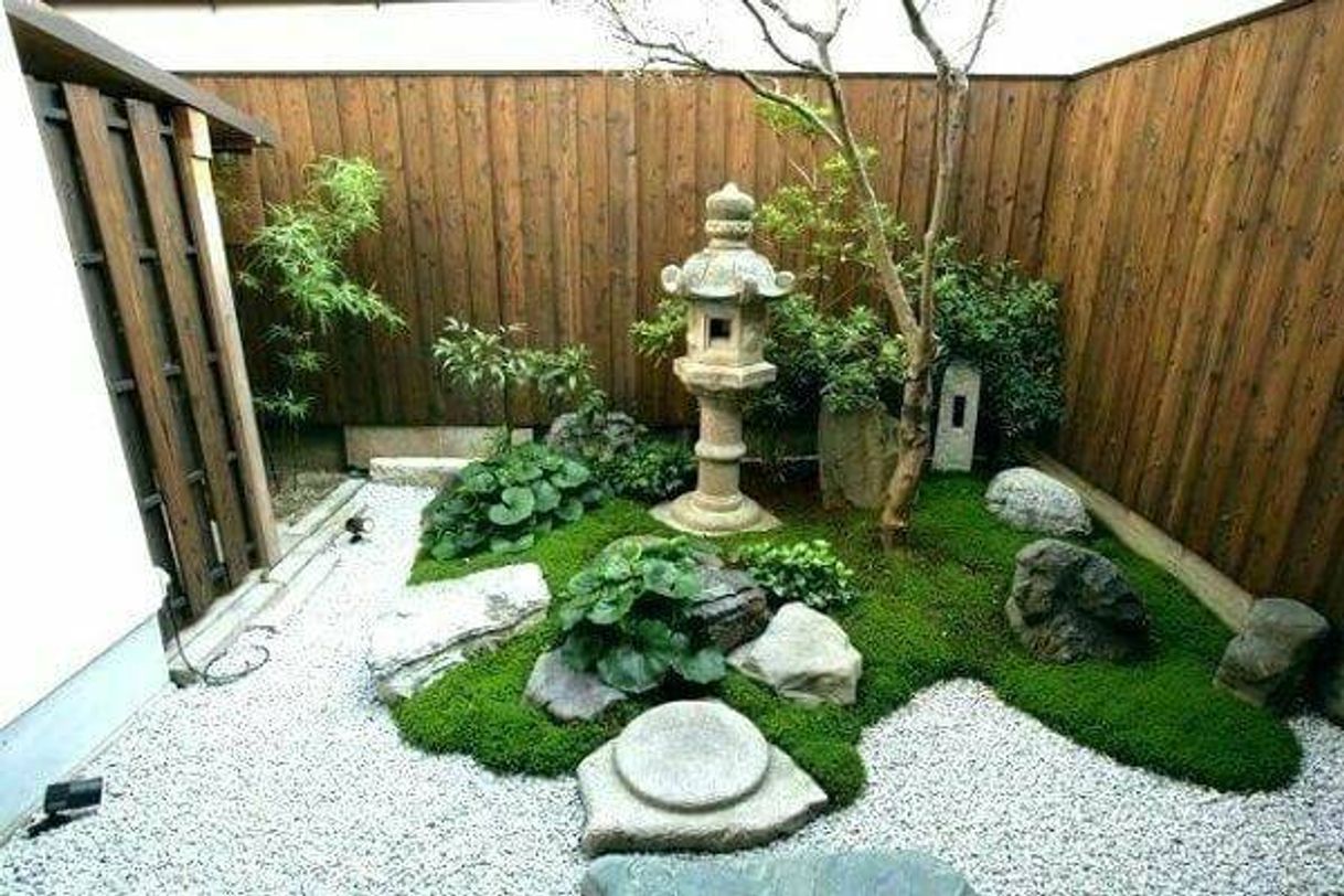 Moda Jardim japonês