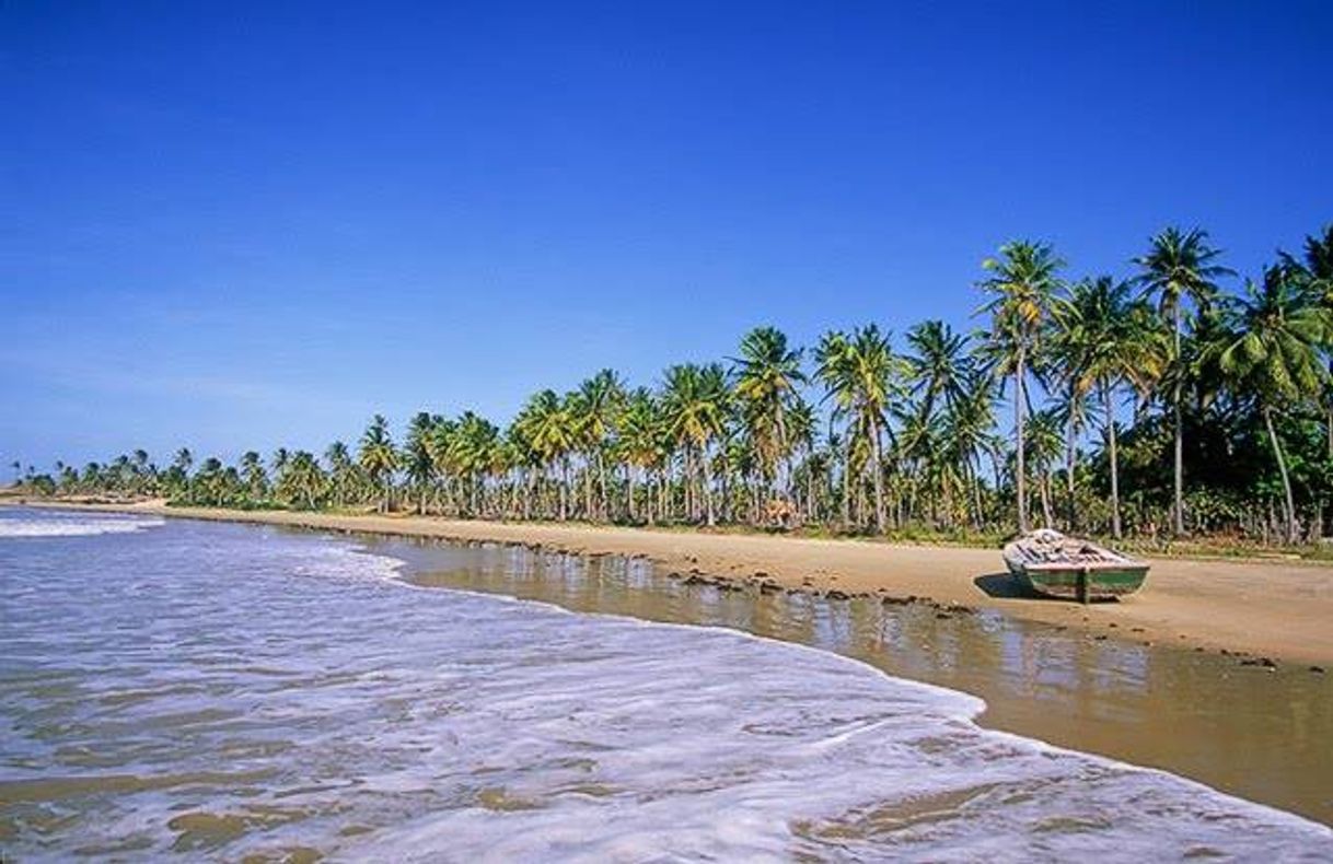 Lugar Beach Of The Icarai De Amontada-CE