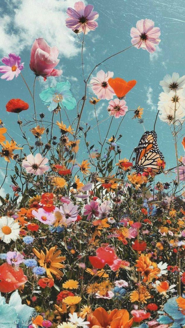 Wallpapers diferenciados