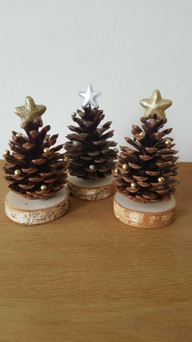 Social Um pedaço de madeira , pinha e uma estrelinha 🌟