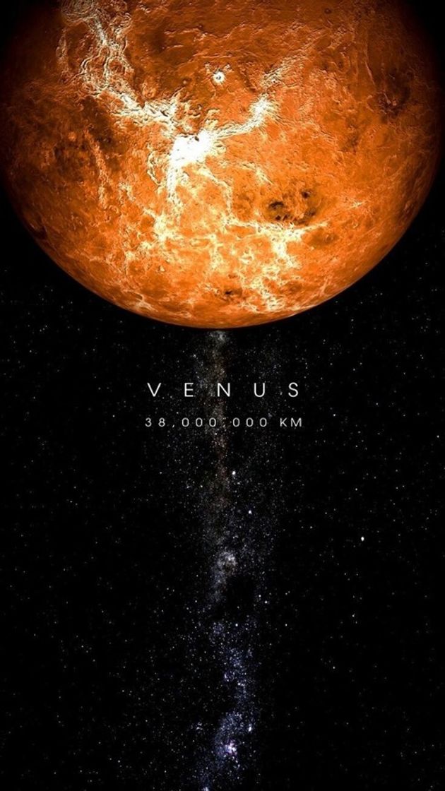 Fashion Venus