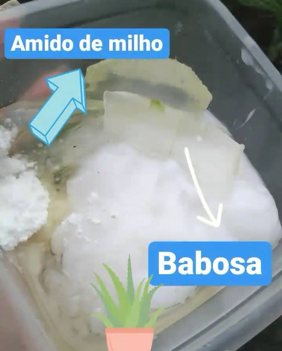 Moda Nutrição capilar