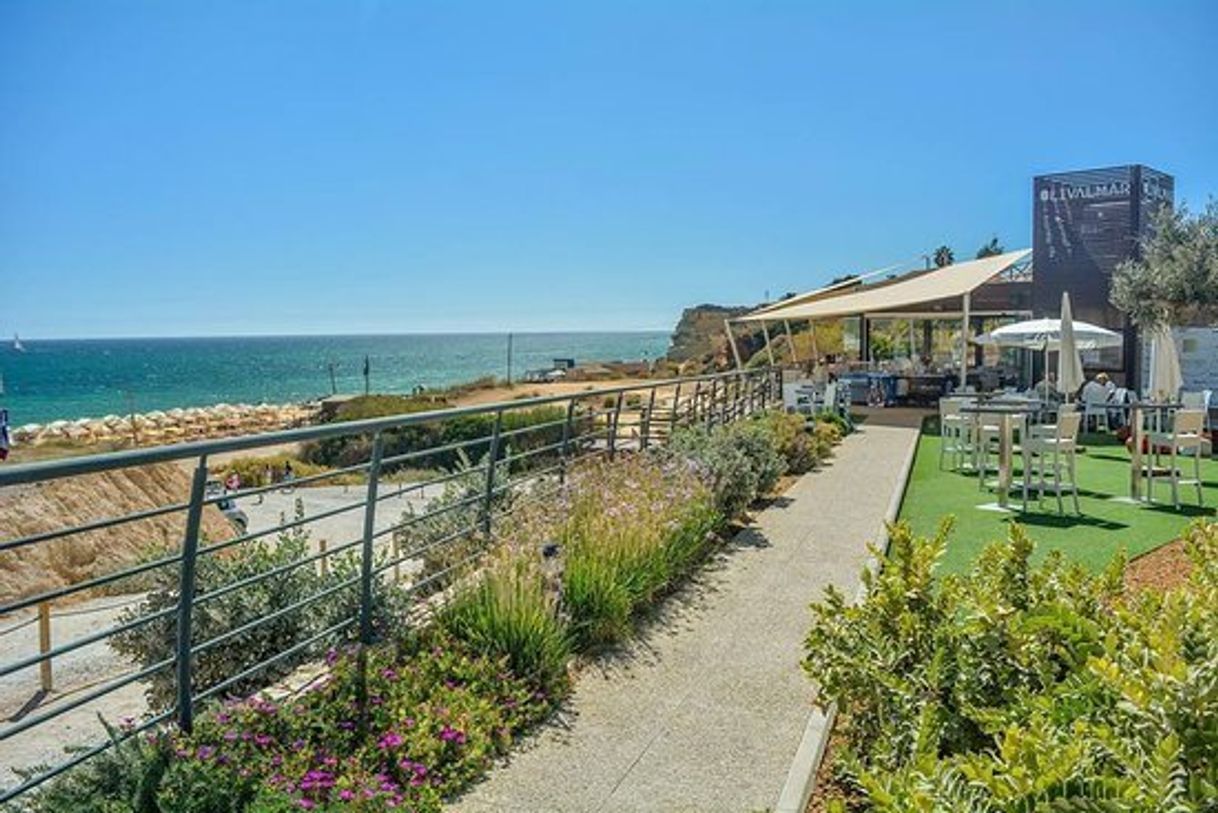 Restaurants Beach Bar Olivalmar