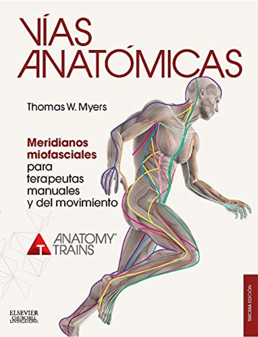 Book Vías Anatómicas