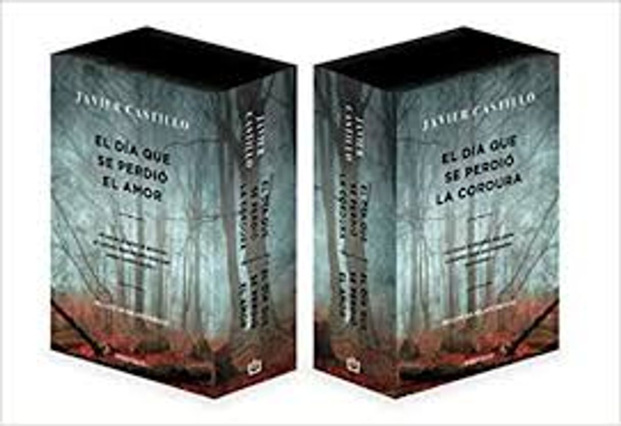 Book PACK El día que se perdió la cordura