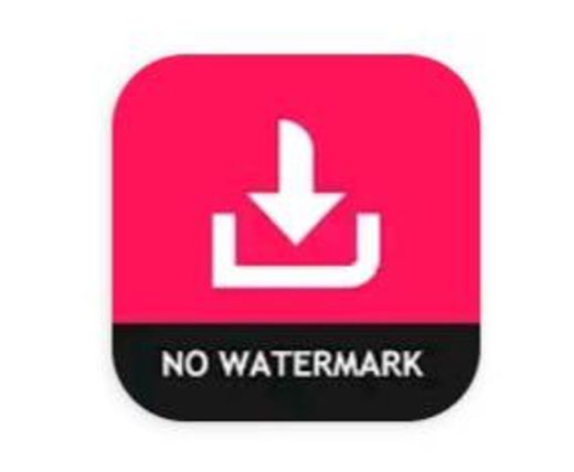 Video Downloader for TikTok - No Watermark  
