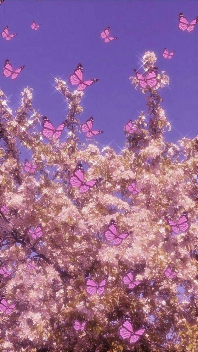 Fashion wallpaper➩butterfly aesthetic 