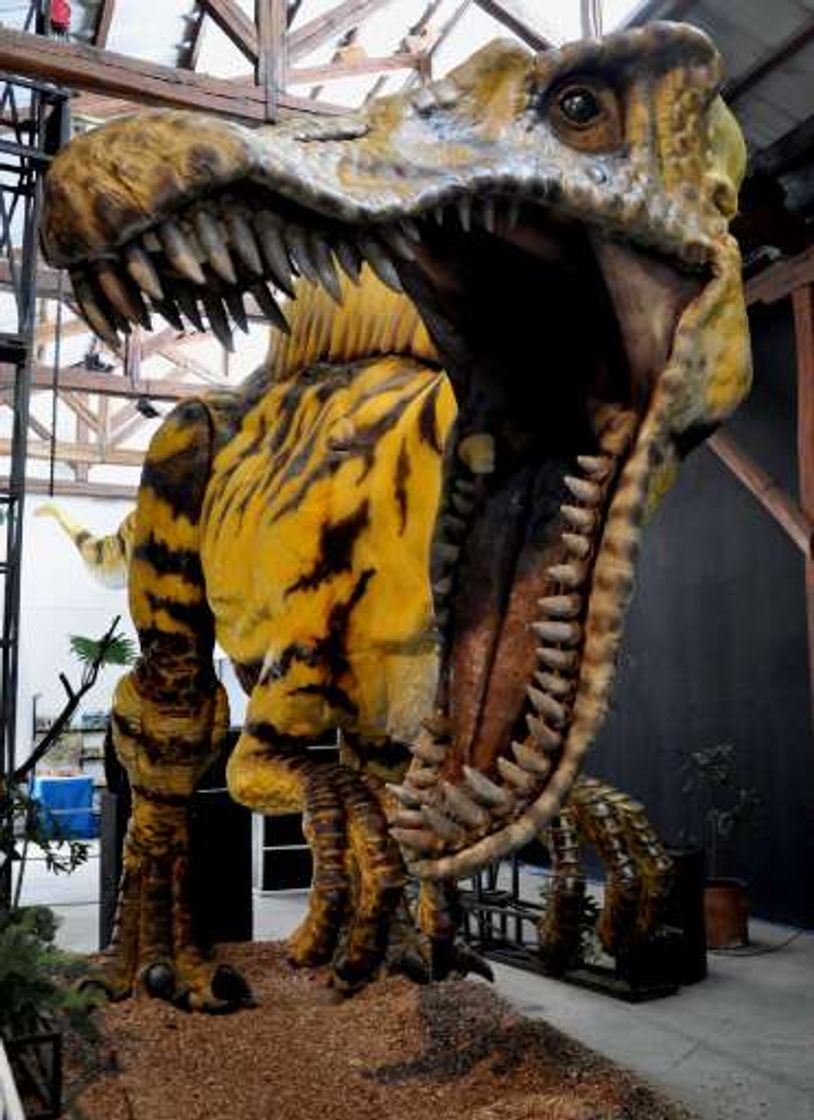 Place Museo de los Dinosaurios