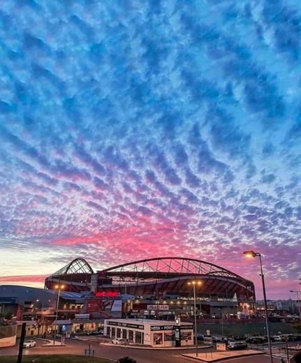 Estádio Sport Lisboa e Benfica