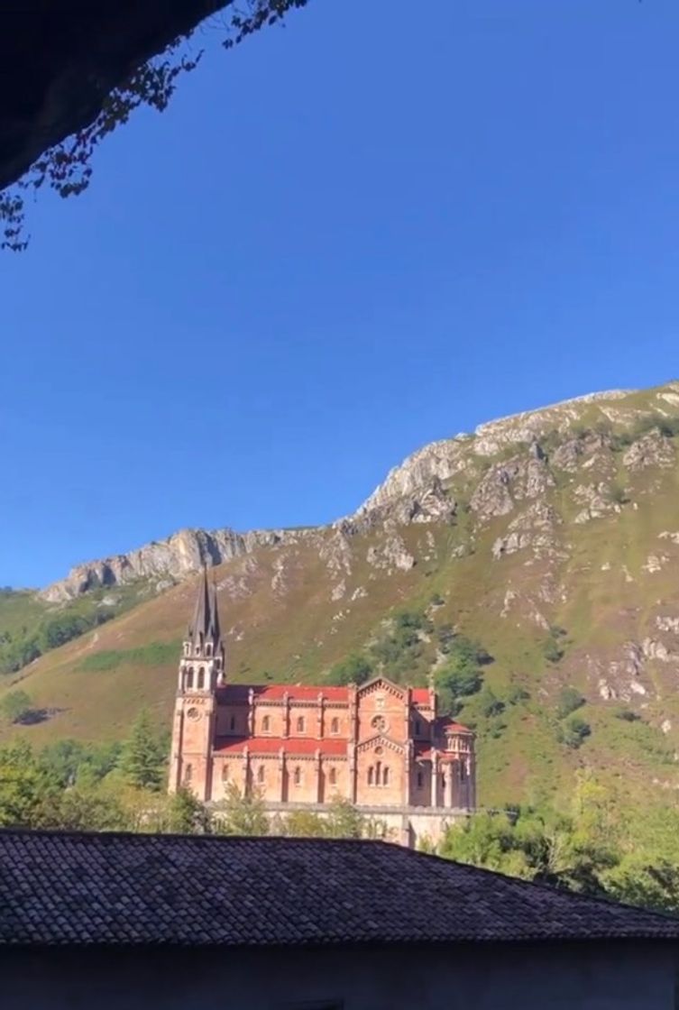 Place Covadonga