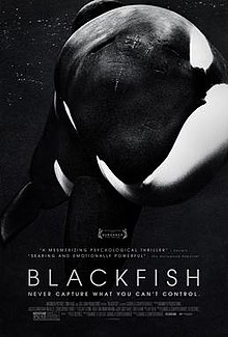 Serie Blackfish