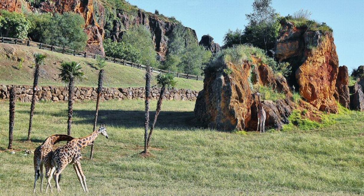 Lugar Parque de la Naturaleza de Cabárceno