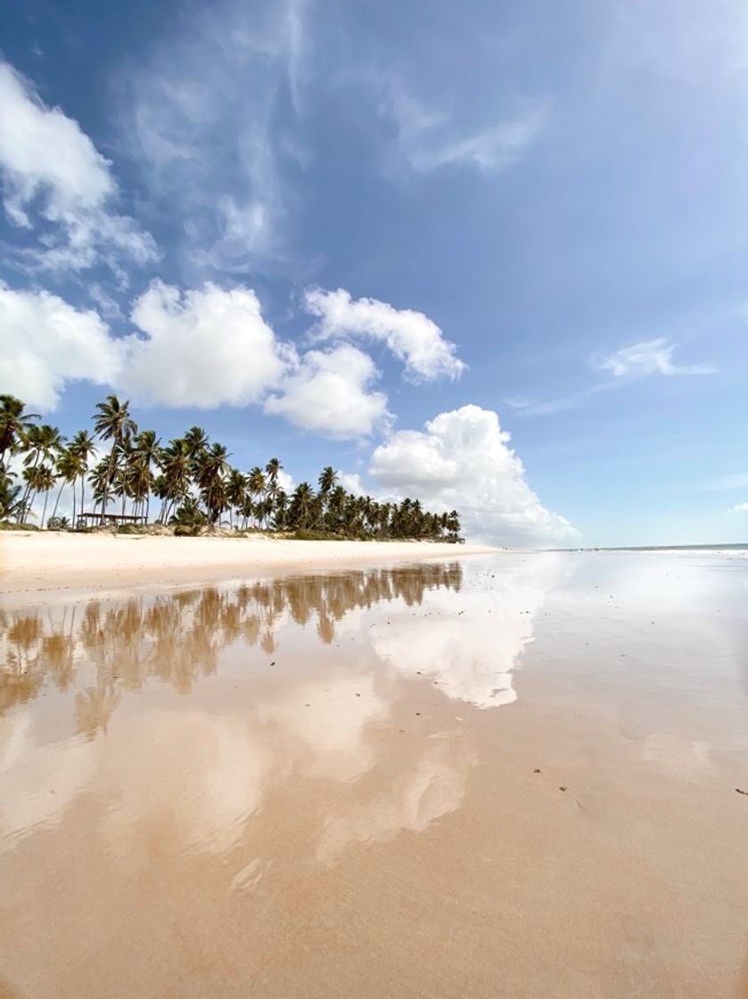 Place Praia do Forte