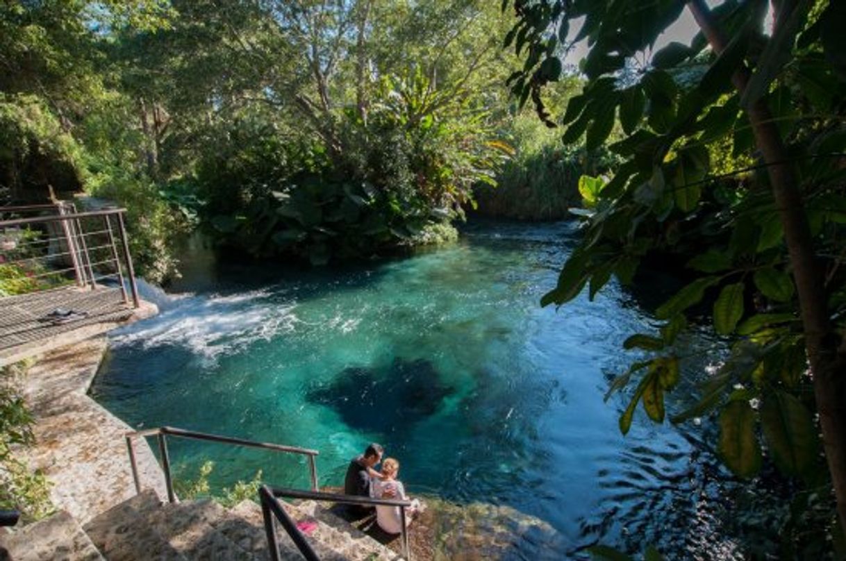 Lugar Las Estacas Parque Natural