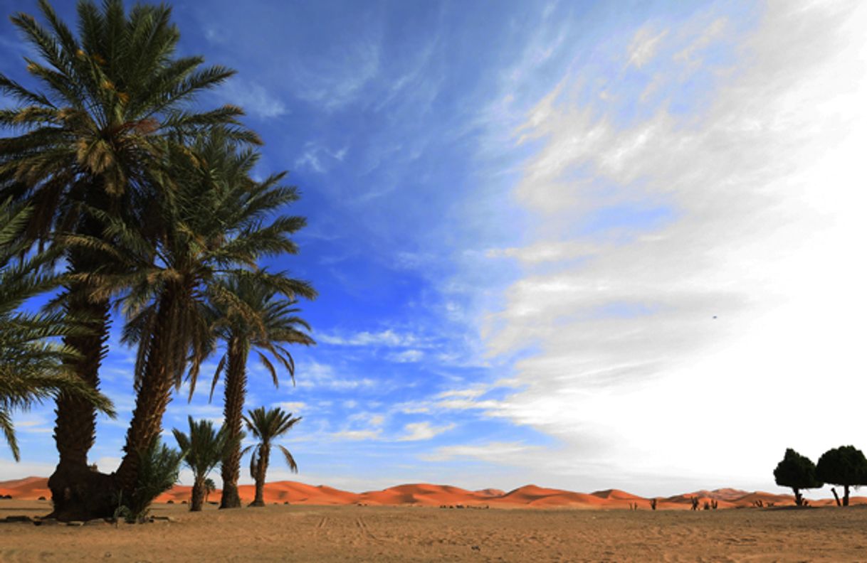 Lugar Desertos do Sul