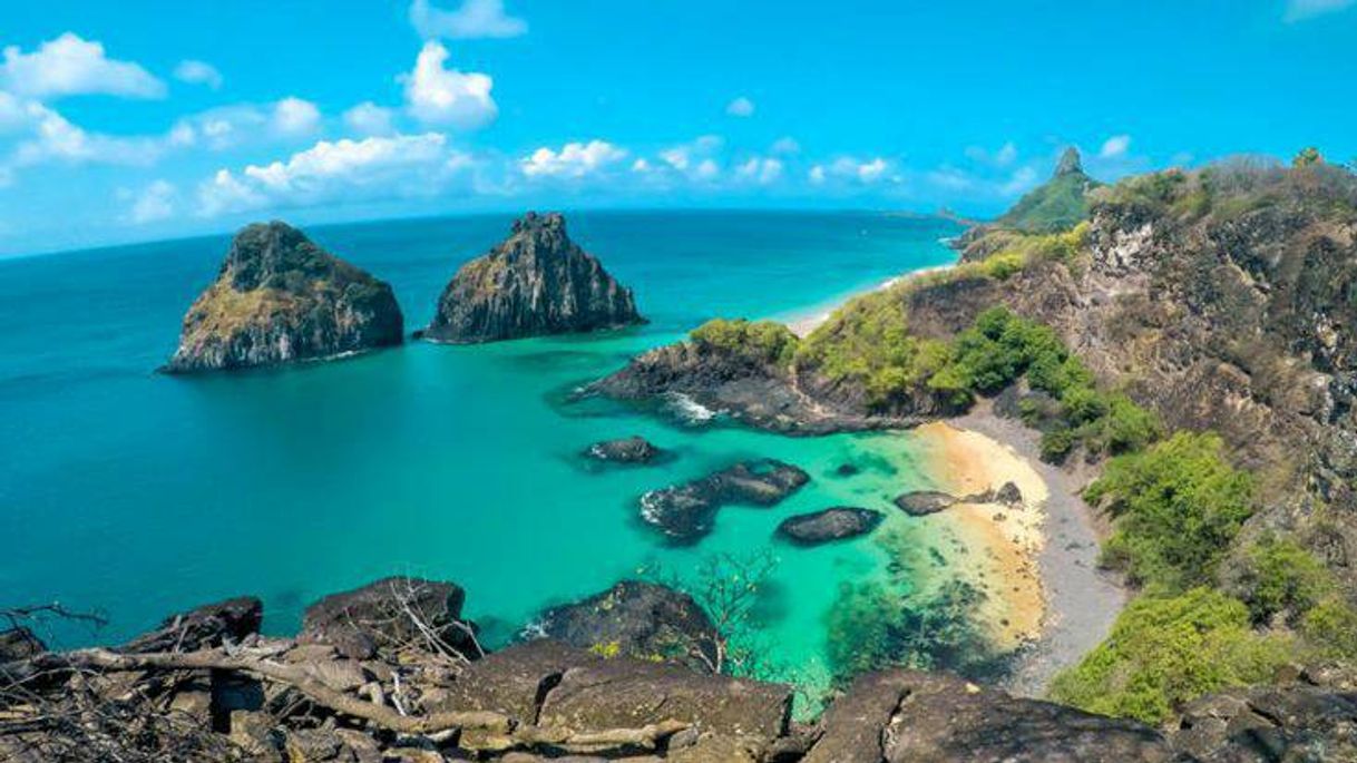 Moda Fernando de Noronha💙