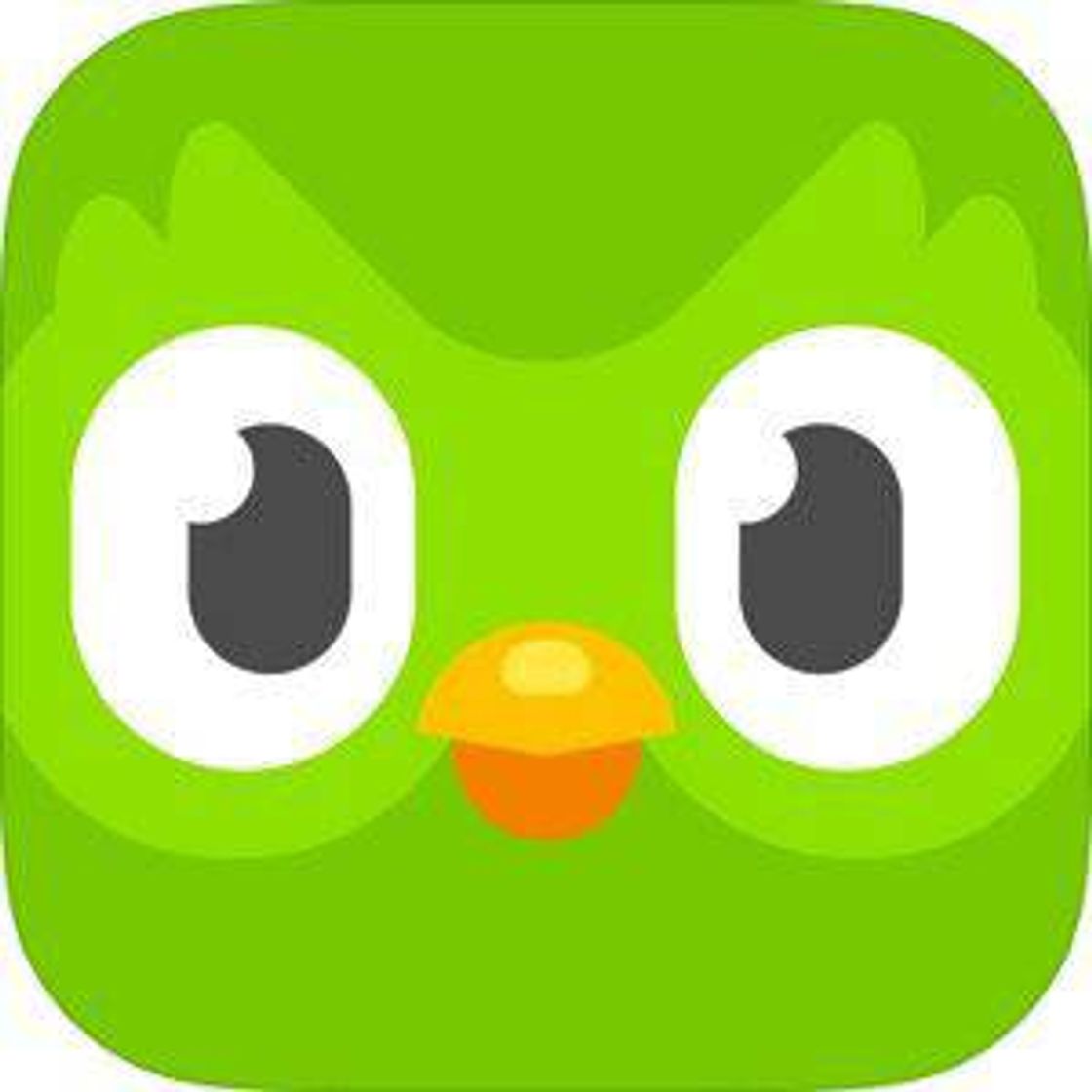 App Duolingo: aprende Idiomas