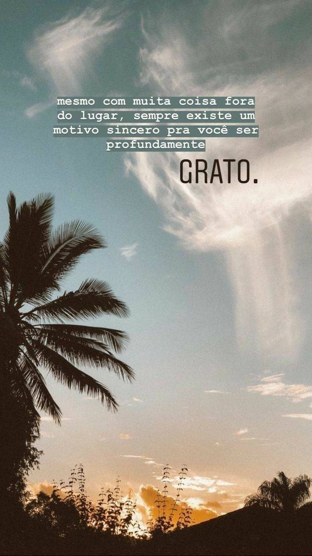 Social Frases