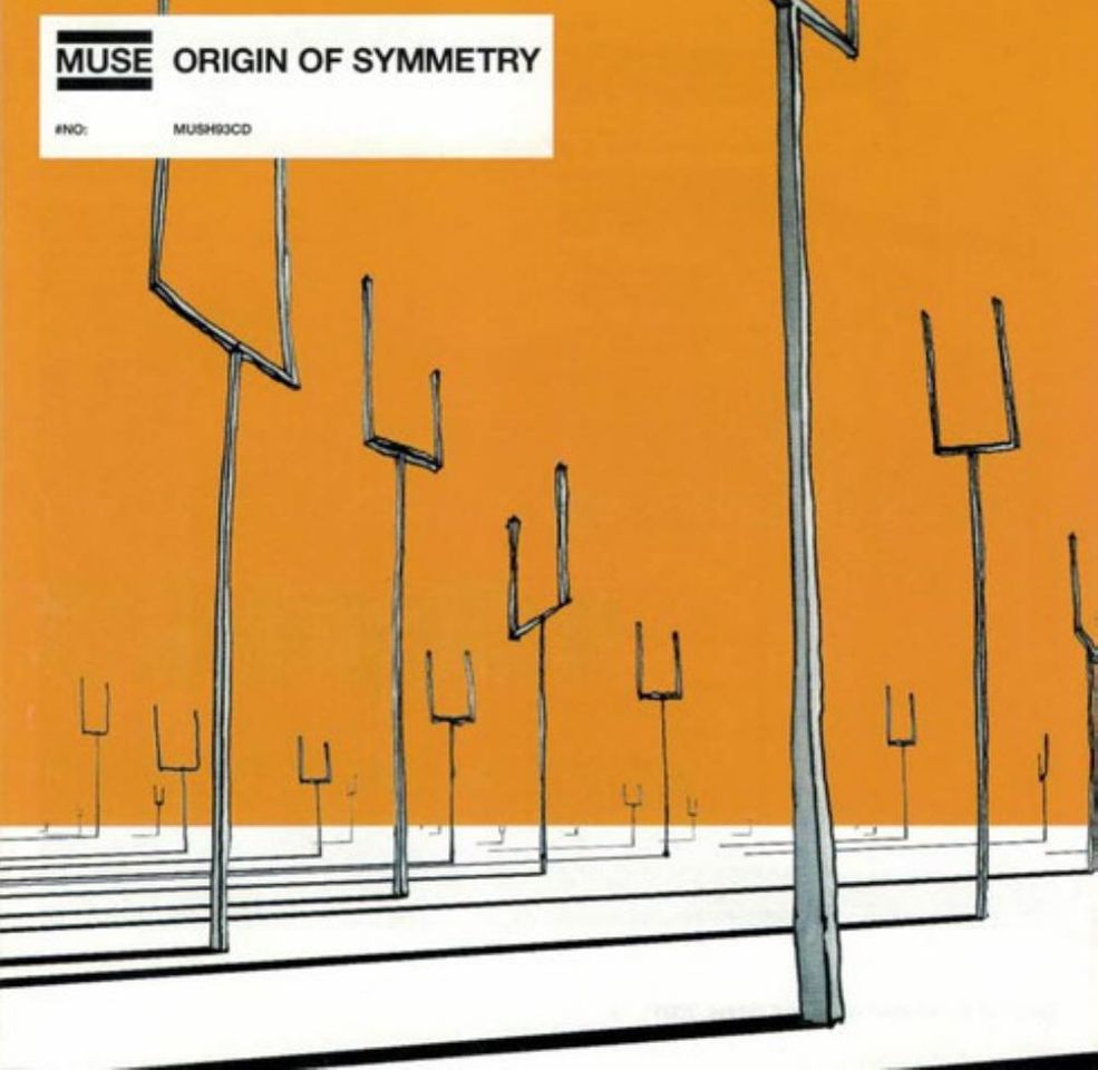 Social Origin of Symetry