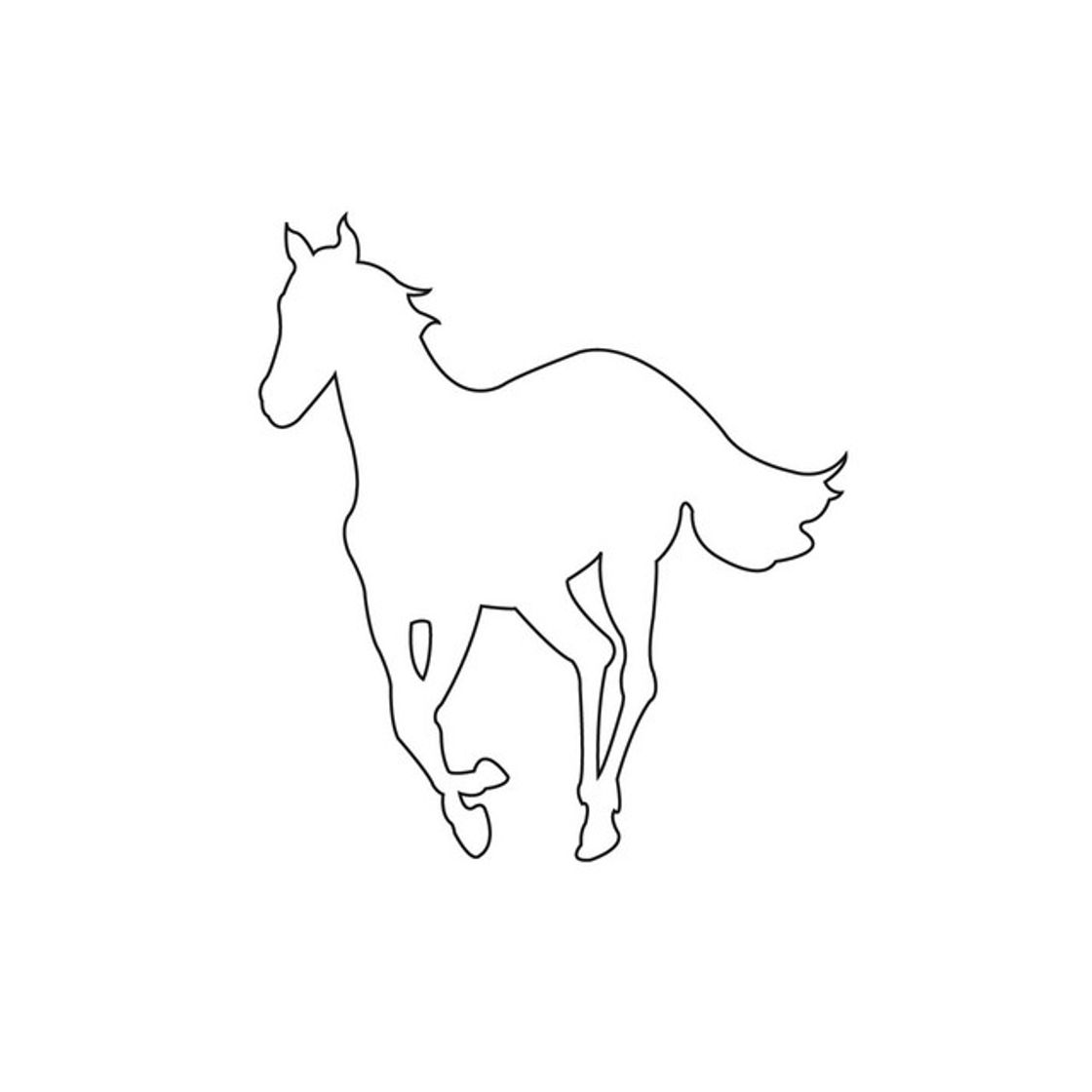 Social White Pony
