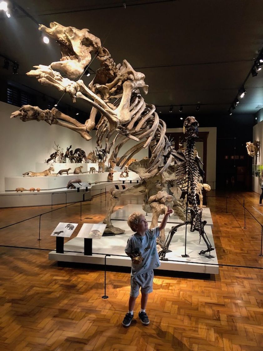 Place Museu de Zoologia da Universidade de São Paulo