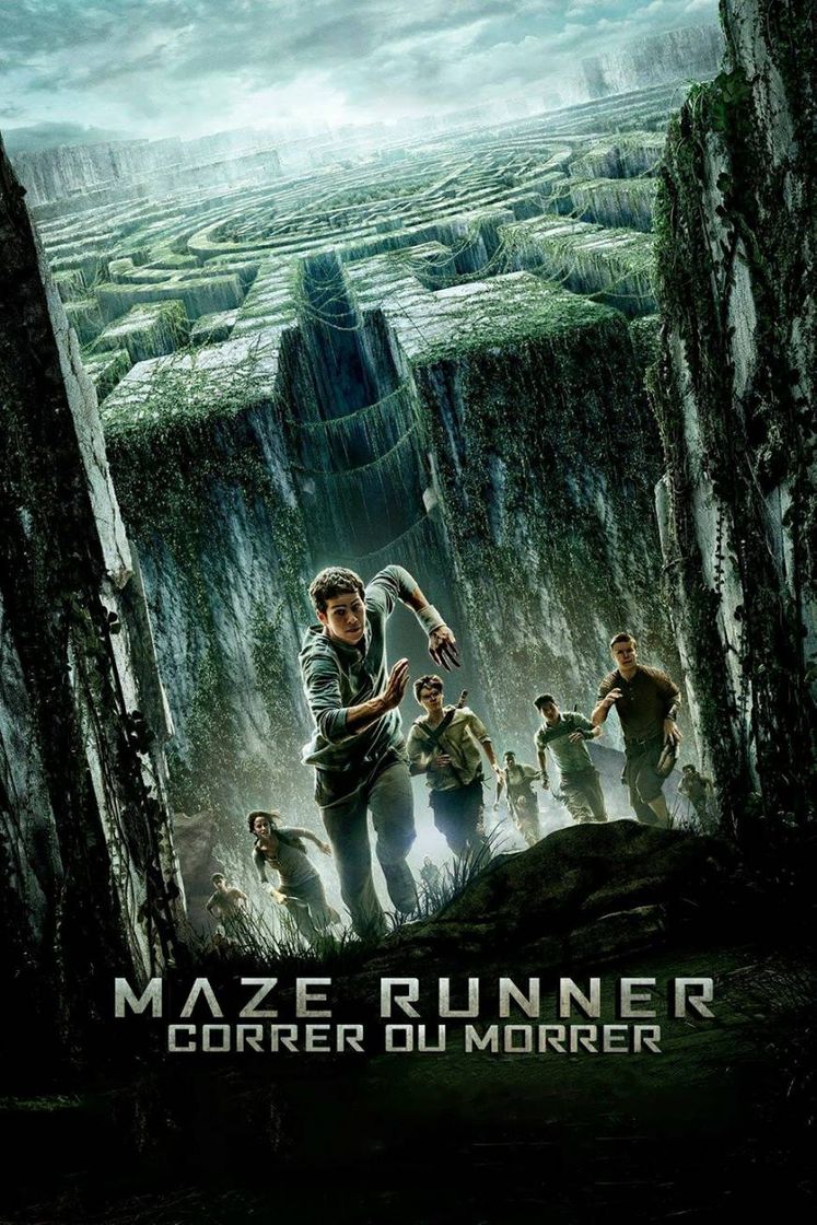 Película Saga - Maze Runner 