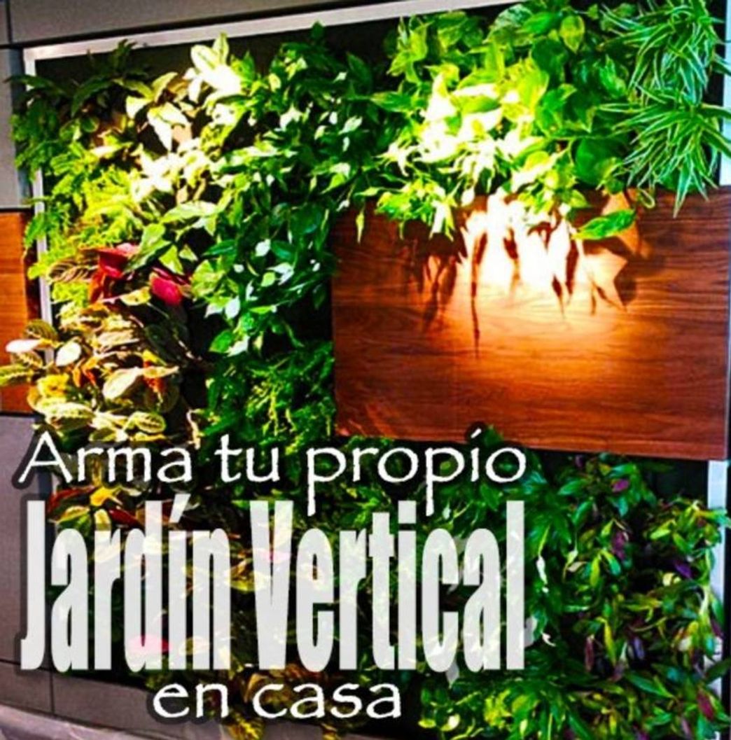 Moda Arma tu propio jardín vertical 