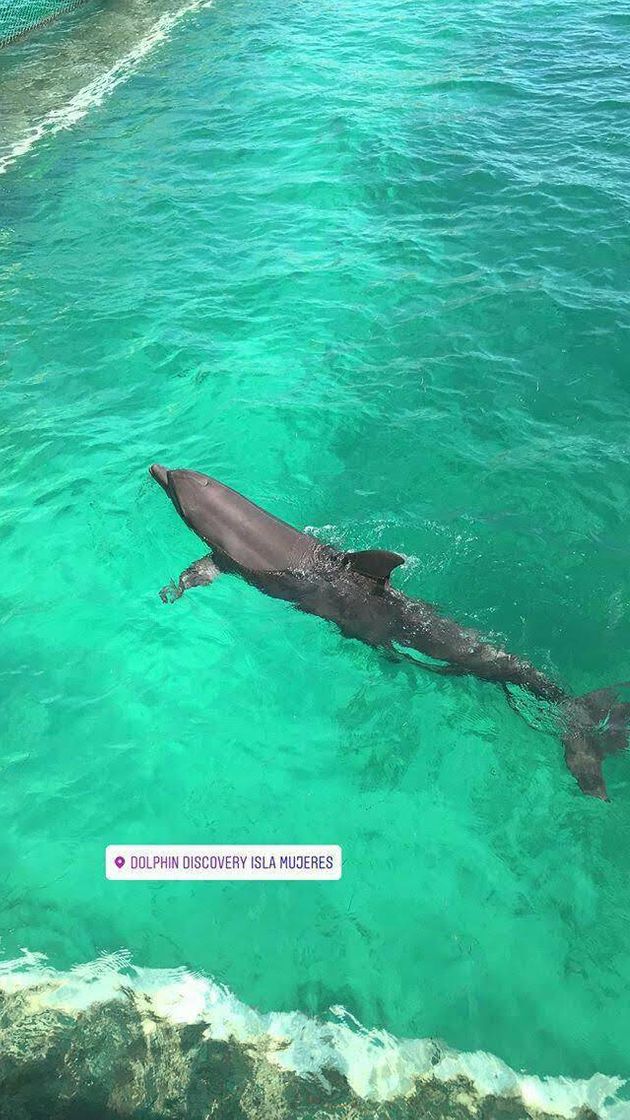 Lugar Isla Mujeres