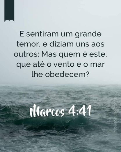 Marcos 4:41🍃🌊