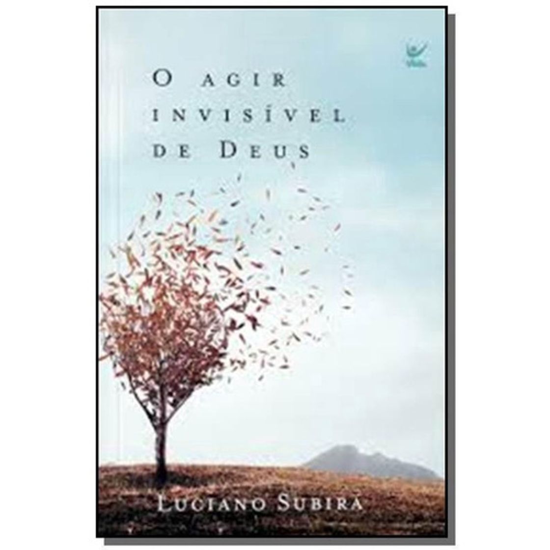 Book O agir invisível de deus
