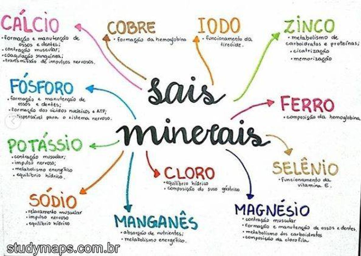 Fashion Sais minerais 