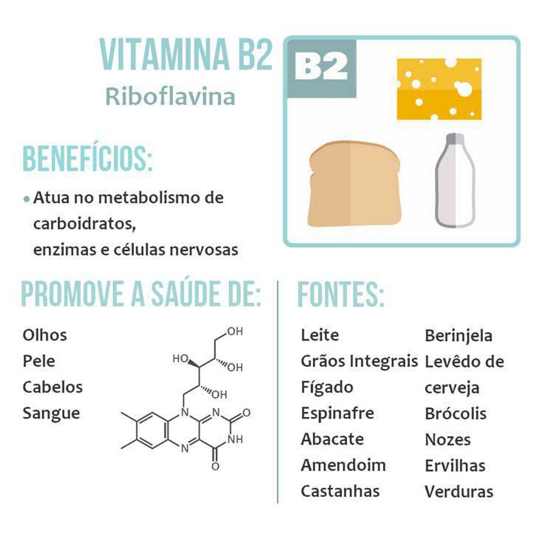 Fashion Vitamina B2