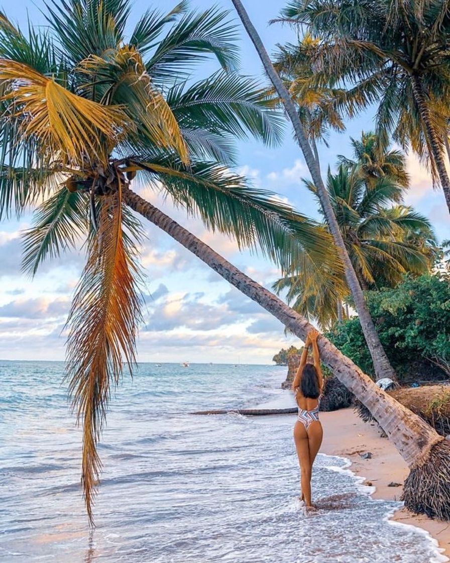 Moda Ideias de pose para fotos na praia 