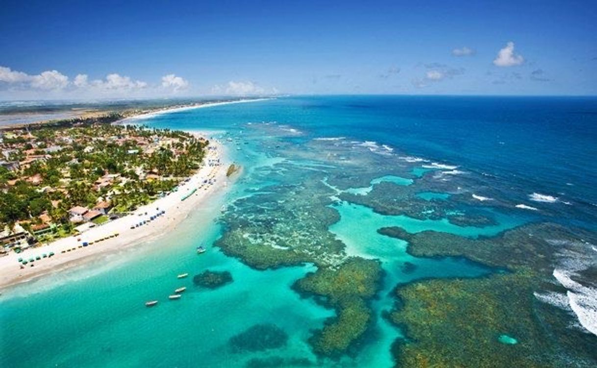 Place Porto de Galinhas