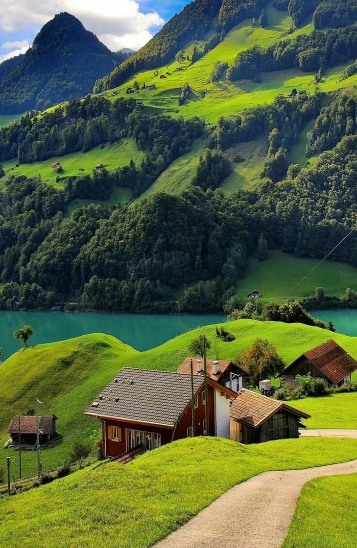 Place Suiza