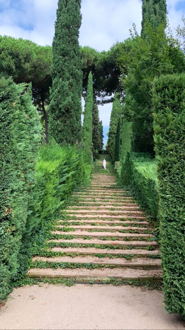 Lugar Jardines de Santa Clotilde