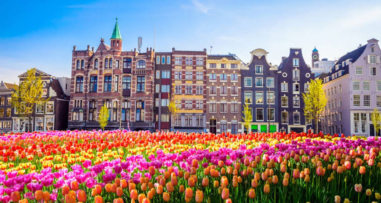 Place Holanda