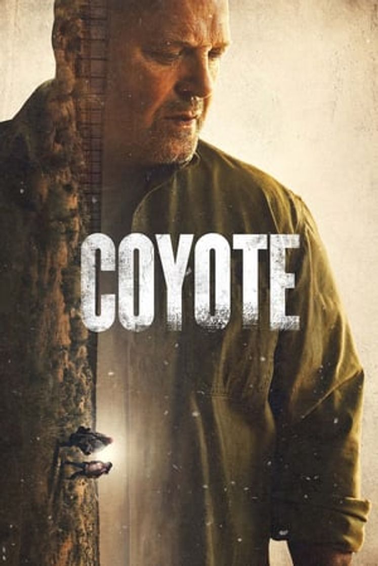 Serie Coyote