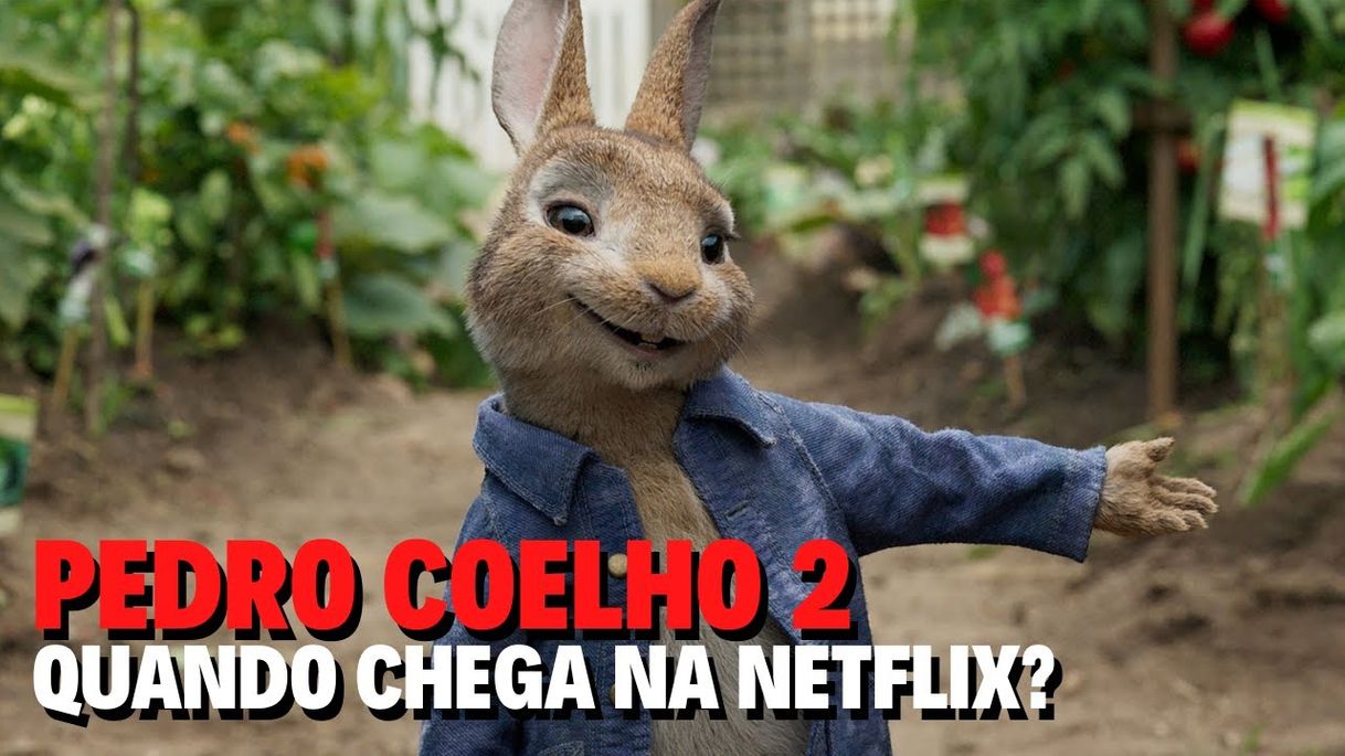 Moda PEDRO COELHO 2 | QUANDO CHEGA NA NETFLIX? - YouTube