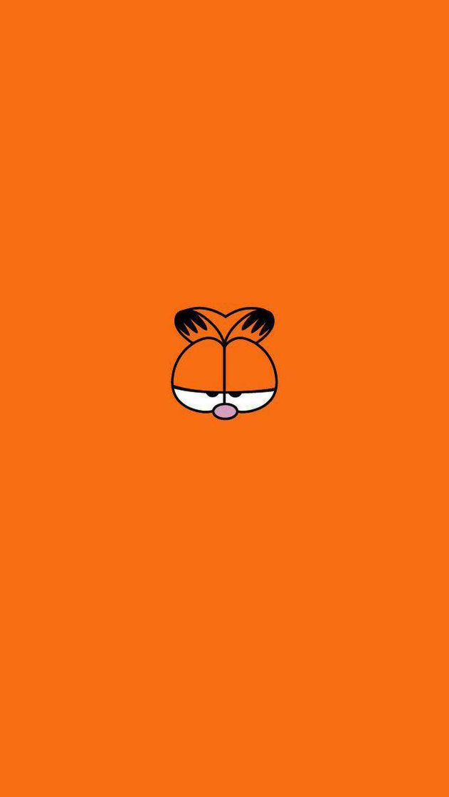 Fashion Garfield 🧡😽