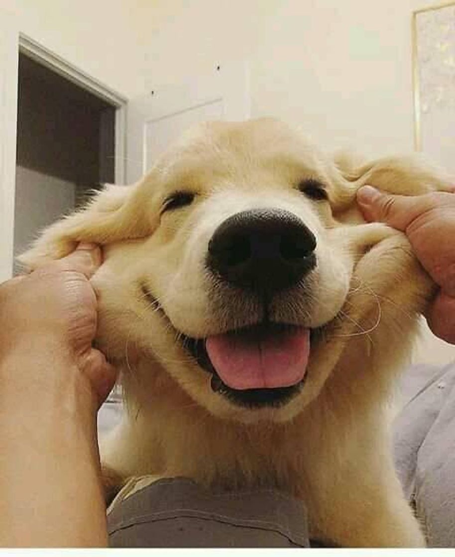 🥰