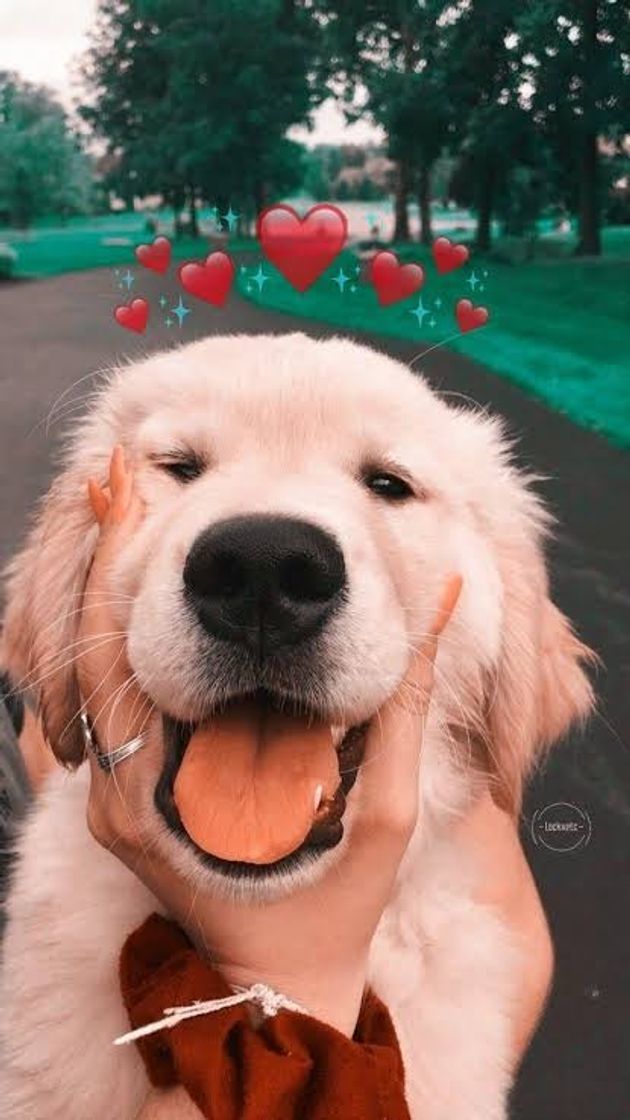 🥰