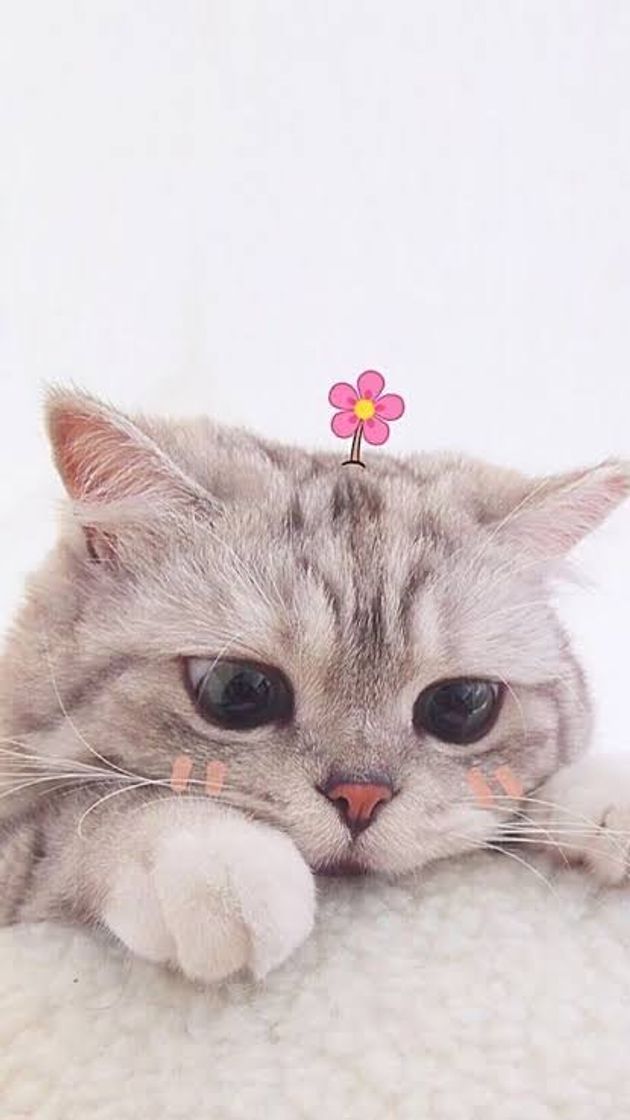 🥰