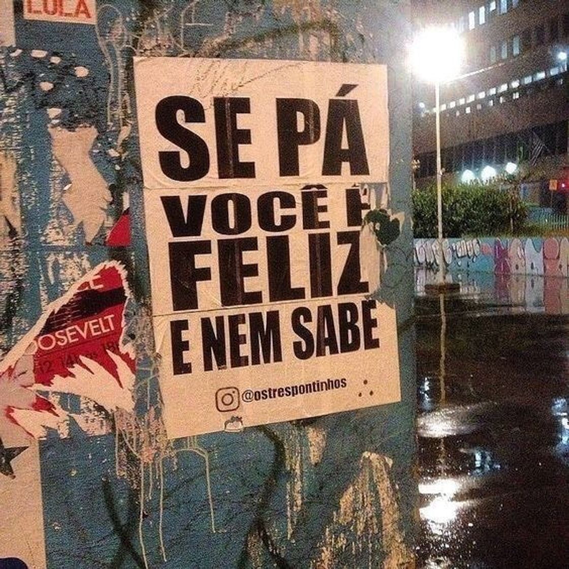 Social ✨
