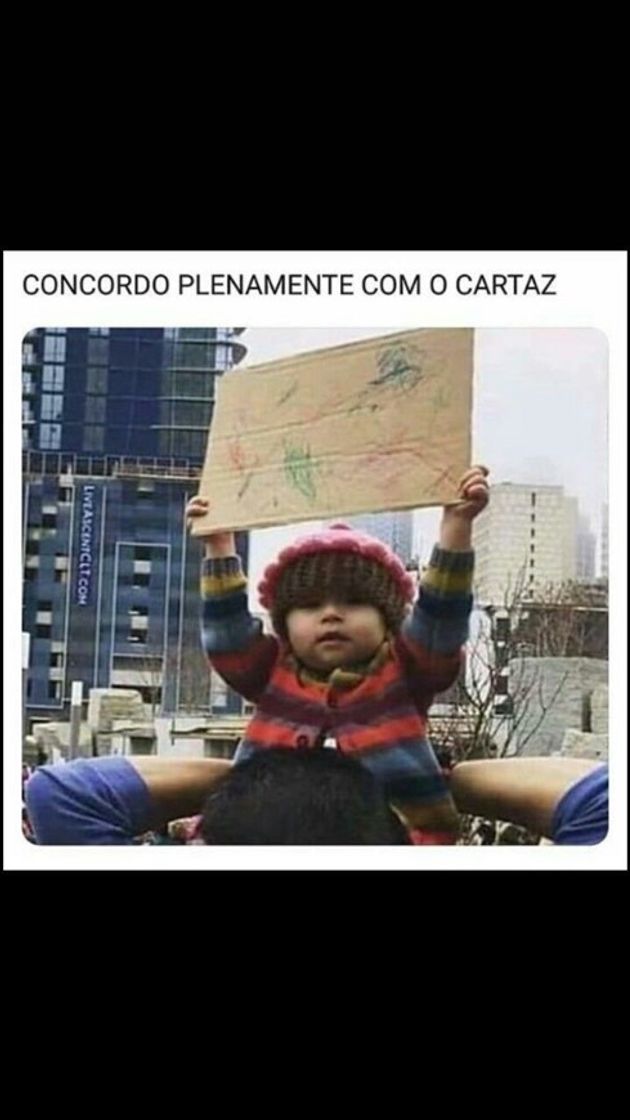 Social memes
