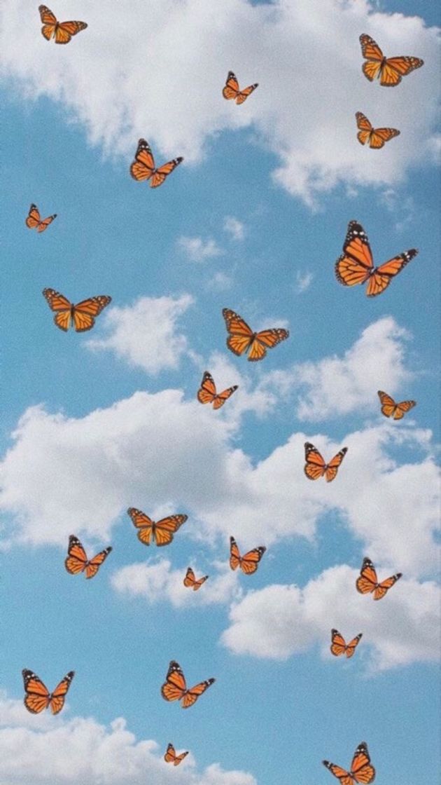 Social Fondos de mariposa🦋